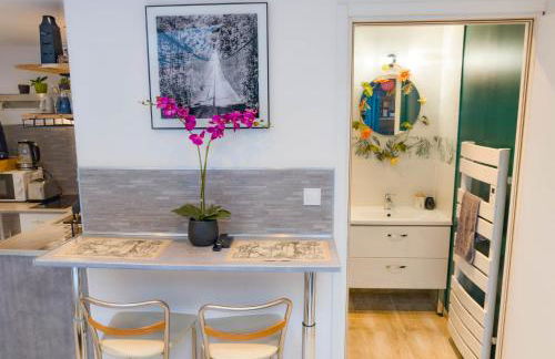 Jungle Studio - 2P à 4P -Henriville - Foto 5