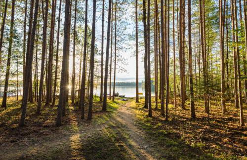 Porch in the Pines in Eagle River WI - Photo 37