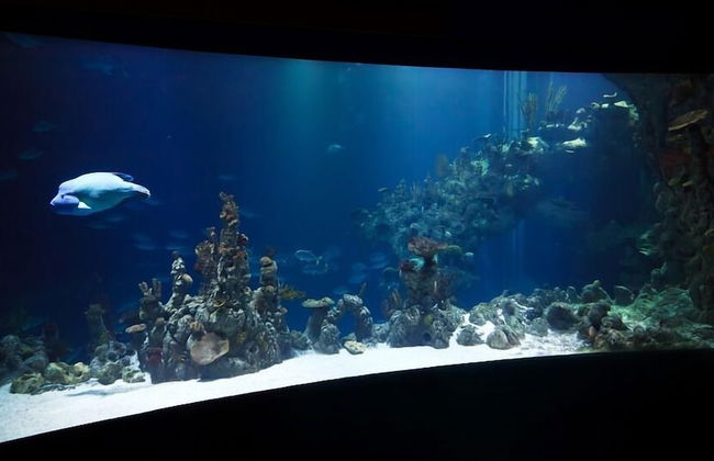 Apartamentos Tao - Foto 59