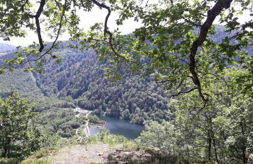 Au Repos du Fayé - Foto 14