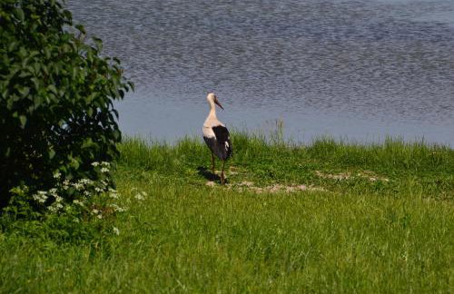 Panorama Lake Resort - Foto 43