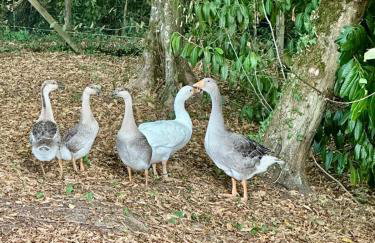 Domaine Epona - Foto 29