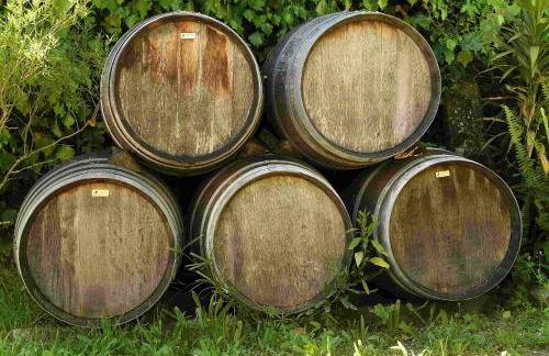 Quinta da Fata - Foto 51