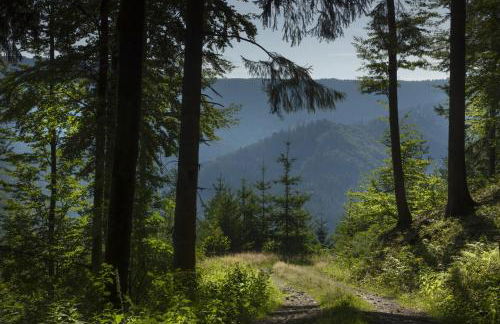 Sagenhafter Ausblick - Foto 25