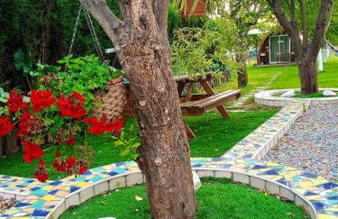 Centenária - Foto 54