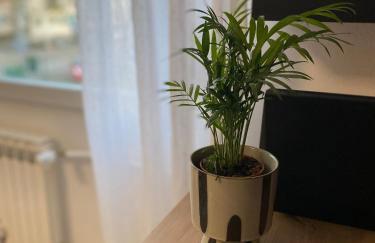 Apartman EVA - Dugo Selo / Zagreb - Foto 13