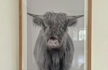 Das Ministerhaus - historisches Anwesen für Gruppen und Seminare - Photo 31