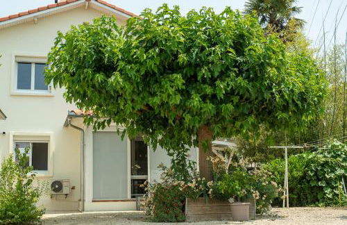 GITE VENITIA T2 - Foto 27