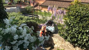 Apartments Marina - Foto 5, Garden view