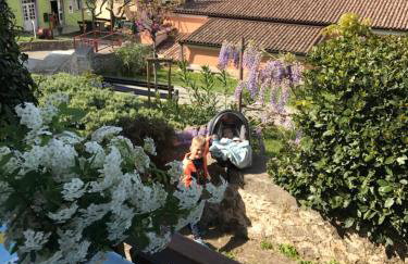 Apartments Marina - Foto 5