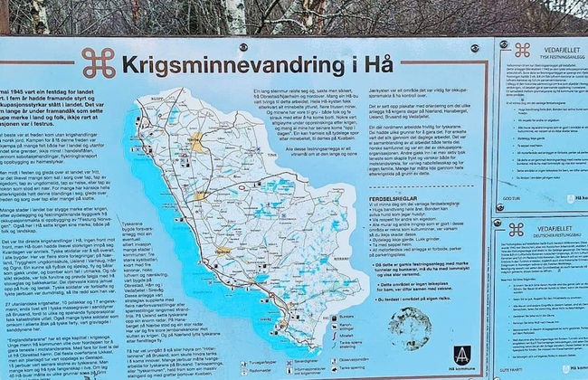 5 Person Holiday Home in Sirevag - Photo 20