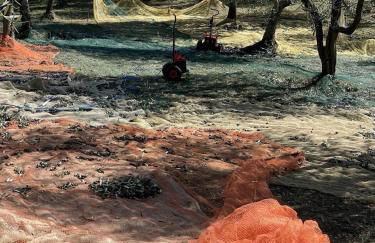 Hillside semi-detached villa with panoramic views - Foto 7