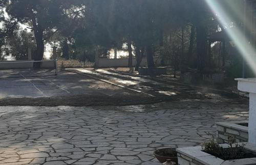 Costa Mama VIlla - Photo 47