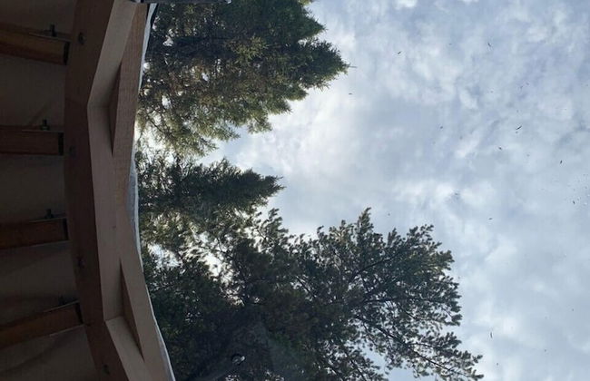 Yourte expérience Charlevoix - Foto 5