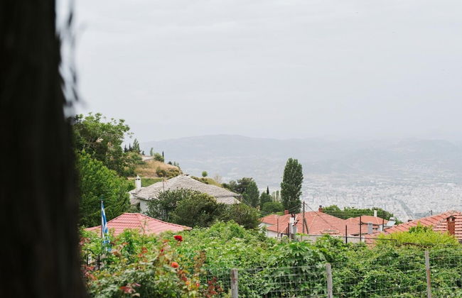 Giota s Garden House - Foto 29