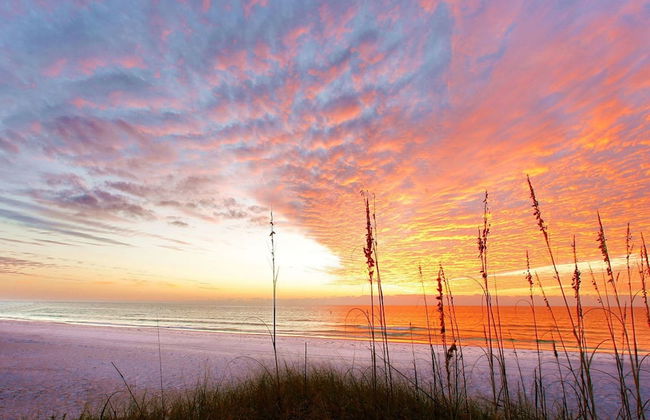 Fanta-Sea on the Beach by Beachside Management - 53 Beach Rd - Foto 41