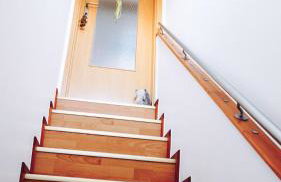 Auf dem Worbelchen - Foto 21