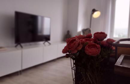 Del Parque Flats Puerto - Foto 7