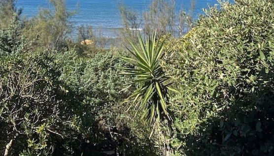 Villa Papini Seafront With 3 Apartments and Garden-rif Papi - Foto 2, Habitación