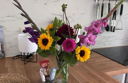 Haus Willi von Tinyhaus Steinhude - Foto 14