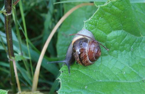 Ferienwohnung Wroblewsky - Foto 47