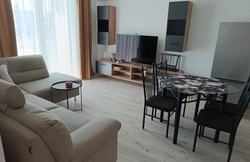 Apartamenty JAGIEŁŁY PARK - Foto 1