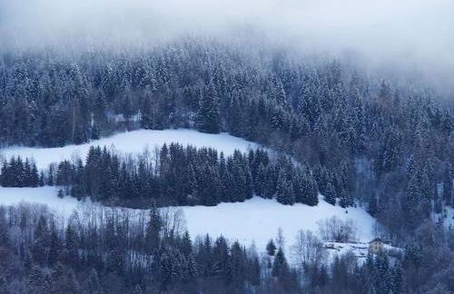 Chalet montagne Savoie Domaine Skiable Valmorel - Foto 12