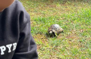 Villa Adriana & Peppino - Photo 42