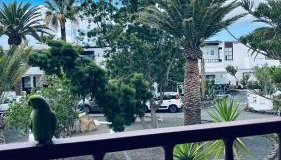 Caletones - Foto 3, Garden view