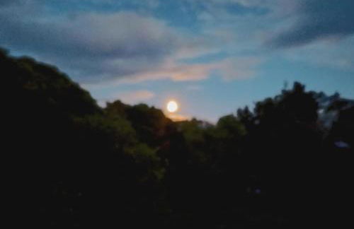 Prédio do Castelo - Photo 38