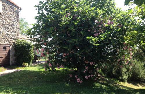 Podere Porcino - Foto 22