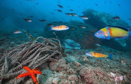 Roquetas Costa - Foto 26