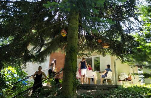 Old Chestnut Vacation Home - Foto 37