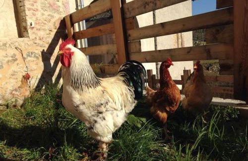 Agriturismo Fattoria Togonegro - Foto 25