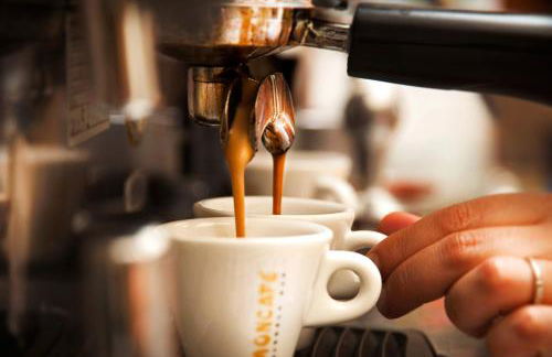 Oasi D'Oriente - Foto 72