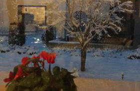 Agriturismo da Mamma - Foto 19