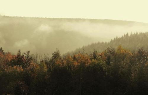 Chalet in Dabo near Castle Ruins - Photo 37