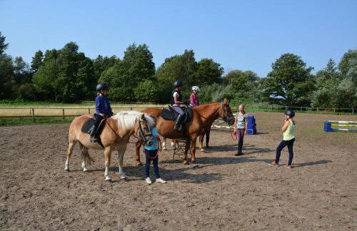 Ferienpark Retgendorf - Foto 18