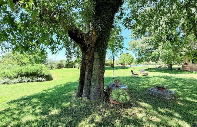 Spoleto Biofarm-sleeps 8 Guests-salt Water Pool-beautiful-exclusively Yours-wifi - Photo 72