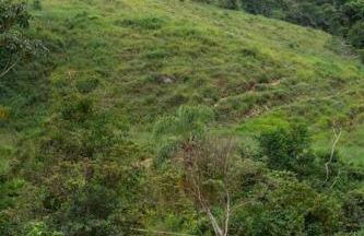 Casa da Floresta - Ibitipoca - Photo 55