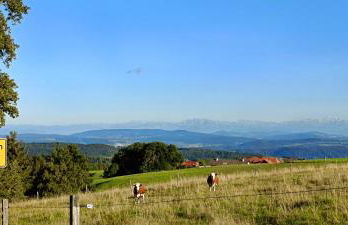 Ferienwohnung Rudigier - Foto 21