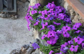 Alojamientos Turisticos La Utrera - Foto 14