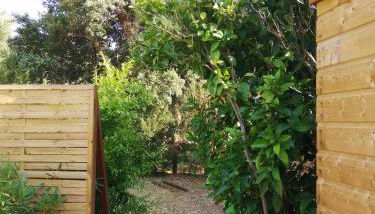 Les chalets de Palavesa - Foto 2