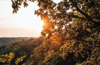 Landhaus Porschdorf - Foto 36
