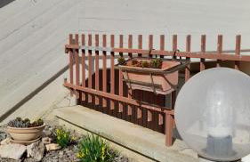 Balo’s home - Photo 11