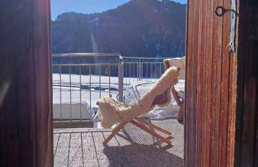 Ferienhof Steurer - Photo 25