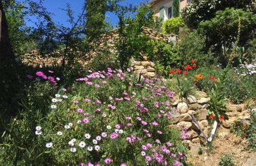 Gîte avec piscine Mes Vacances en Provence à Beaumes de Venise - Foto 6