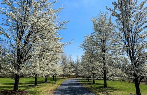 13-Acre Private Estate, Private Lake, Private Golf Range, Private Forest & Hiking Trails - Foto 66