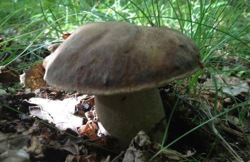 El Refugio de Aran Vielha Aparthotel - Foto 114