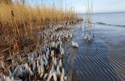 SeeStern Strandnahe Wohnung in Hohen Wieschendorf - Foto 45